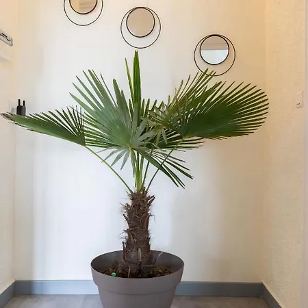 Apartament A Cardaillac