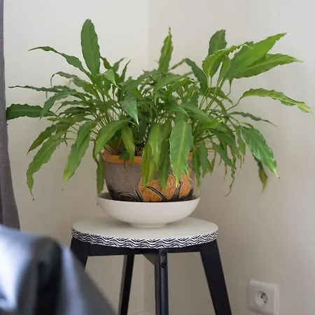 A Cardaillac Apartamento